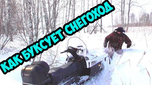 тайга варяг 550/один в лесу/чуть не прилип/ новое видео