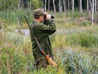Установлены сроки на добычу охотничьих ресурсов