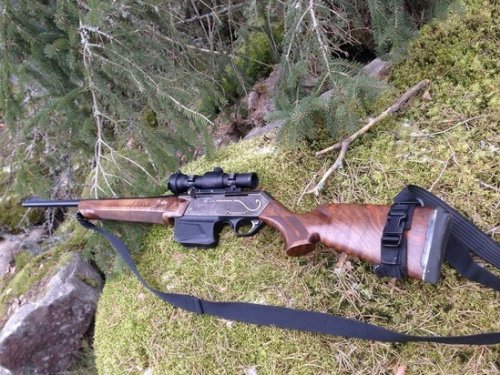 В Алтайском крае утвердили квоты на добычу косули, лося и соболя