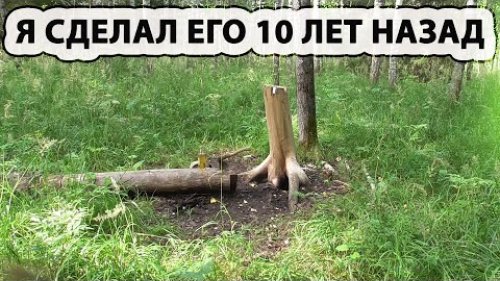 Поход на солонец Установил фотоловушку Соболиные места Тайга грибы