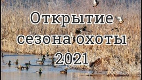 Открытие сезона охоты 2021  Норма добыта!