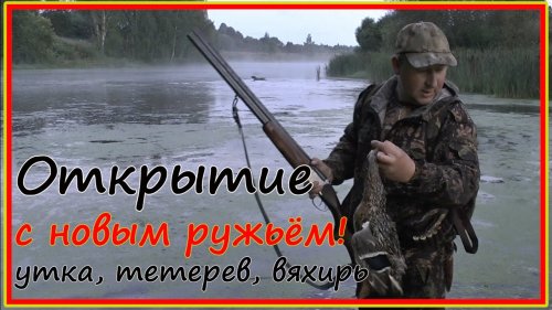 Открытие охоты на утку. Калужская область. Тетерев. Коростель. Вяхирь.