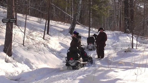 тайга варяг 550.Polaris LX.. ЭТО СТОИТ УВИДЕТЬ!Зеленая трава зимой