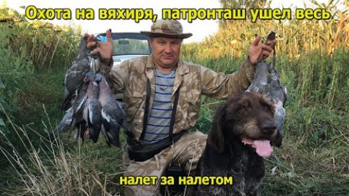 Охота на вяхиря 2021 Патронташ улетел весь Мазали по черному