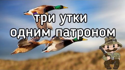 Три крыжня одним патроном! Королевский выстрел