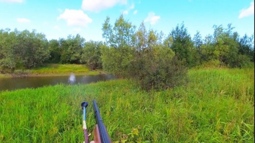 САМЫЕ НЕЛЕПЫЕ ПРОМАХИ ПО УТКЕ / ОХОТА НА ВОДОПЛАВАЮЩУЮ ДИЧЬ С ПОДХОДА. БЫВАЕТ И ТАКОЕ). ЭТО ЖЕСТЬ!