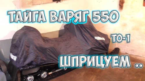 тайга варяг 550 ТО1 шприцуем ходовку.Заглянули в цилиндры.камера Fi
