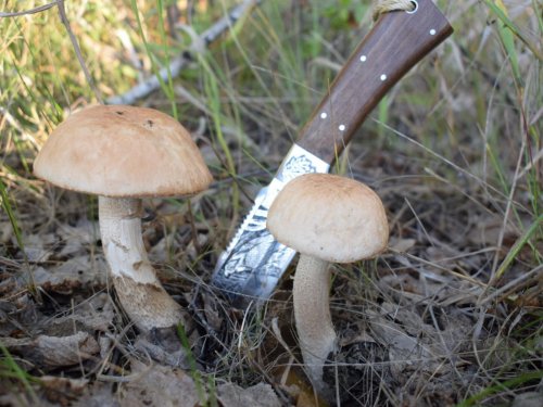парочка