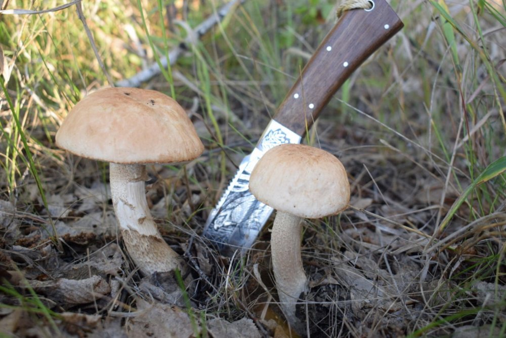 парочка