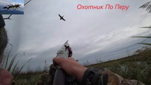 Охота на утку НАРЕЗКА 2021, ВЫСТРЕЛЫ