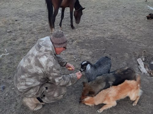 Погрузка "раненых"...)))