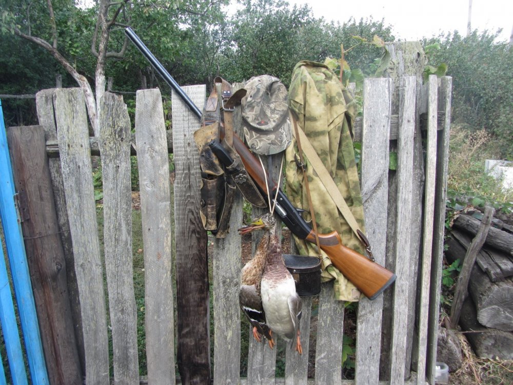 Трудовые!