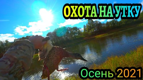 Охота на Утку с Подхода и на Веч?рке.