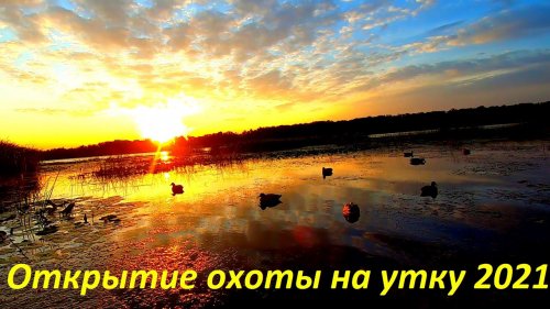 Чумовое открытие охоты на утку 2021!!! Мешок за пол часа!!! Лучше и быть не могло / MAX HUNTER