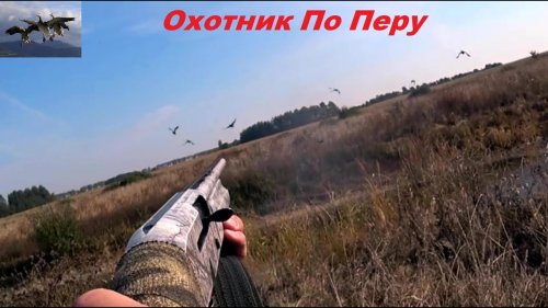 Охота на утку 2021 " Удачно подошел к стае"