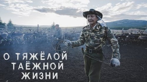О ТЯЖЁЛОЙ ЖИЗНИ ТАЁЖНИКА.