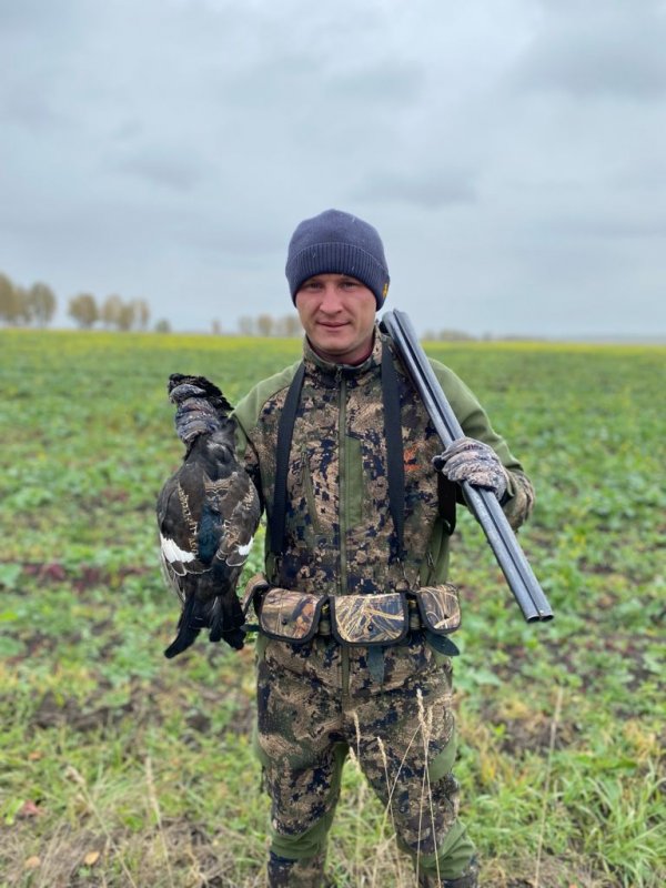 Продолжаем бороздить поля