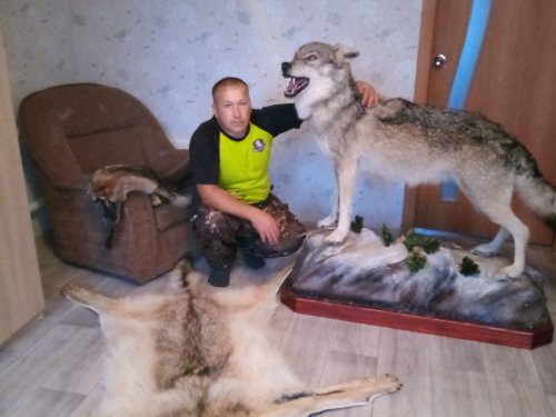 Волчки.