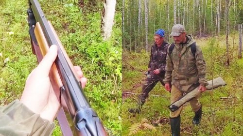 ОСЕННЯЯ ОХОТА В ТАЙГЕ / ХИТРЫЙ РЯБЧИК ПРЯЧЕТСЯ. СОБИРАЕМ ГРИБЫ НА СОЛЕНИЯ. СЕВЕР РОССИИ.