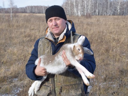Зайчишка