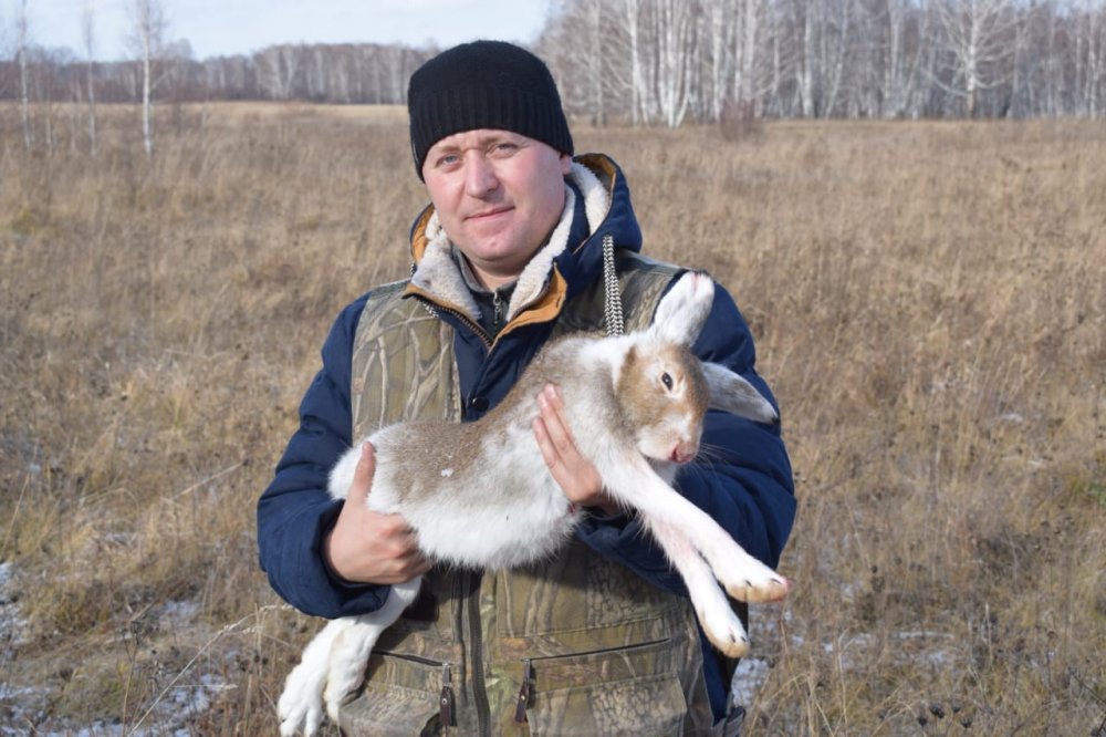 Зайчишка