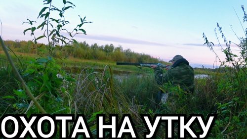 Охота на утку осень 2021.Веч?рка.