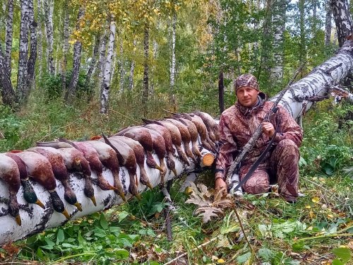 Отличная охота на крякву на полях!