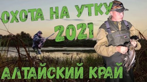 Открытие охоты 2021 / Вторая вечерка / Алтайский край / Охота на утку