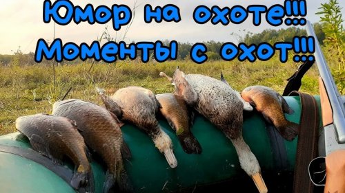 Юмор охотников! Охота на вечёрки! Красоты природы! К родному деду в гости!