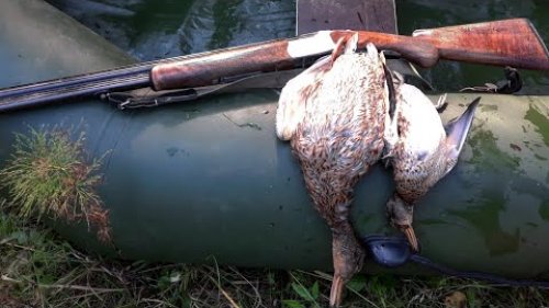 ОХОТА НА УТКУ. ТРУДОВАЯ ОХОТА С ПОДХОДА.
