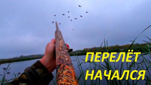 Утки сели на голову!!! Перелёт начался. Охота на утку с манком. РОЗЫГРЫШ от "ножевая Самойлова В.М"