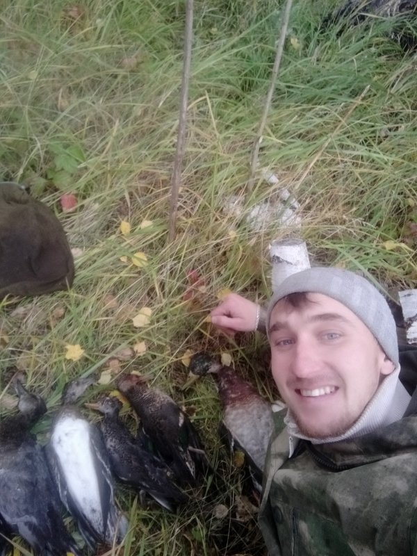 Утро на озере)