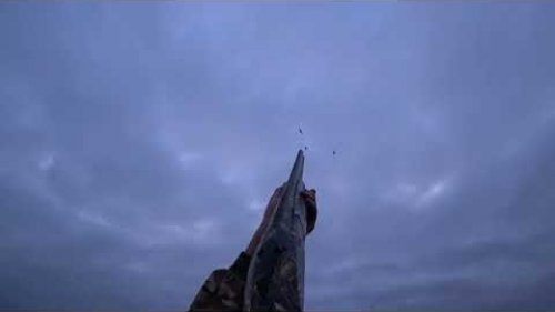Утки падали как тряпки