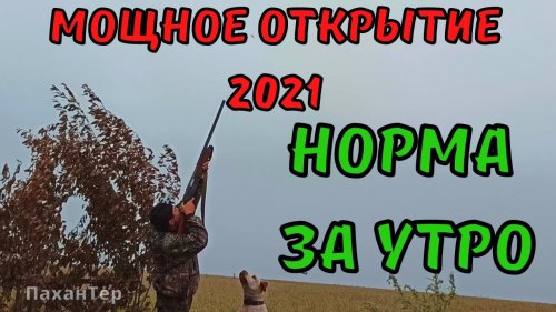 Открытие охоты на утку 2021. Первый раз на ПЕРЕЛЕТЕ