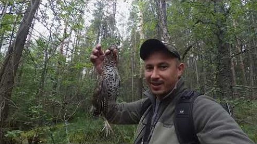 Хитрые утки! Глухари рядом!По рекам лесам и болотам Вологодской области за рябчиком.