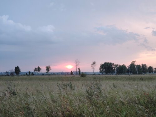 Вечереет