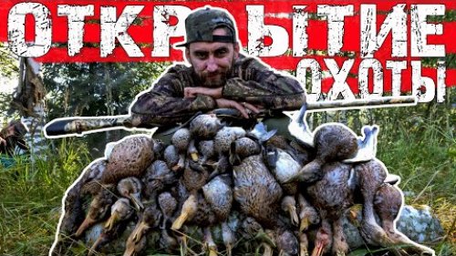Лучшая утряночка за мою жизнь Открытие охоты на утку