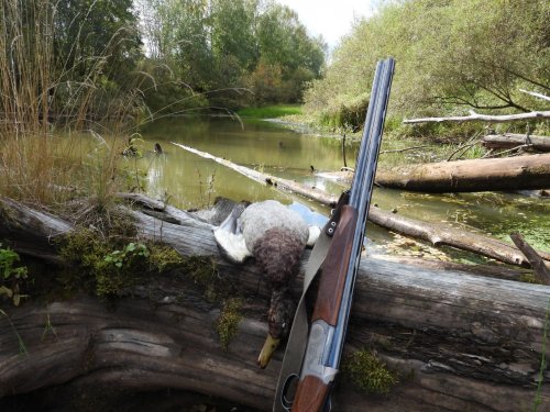 Водоплавающая