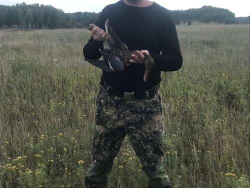Открылся)
