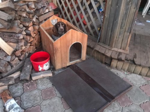 Тот самы случай когда сорвало крышу :)