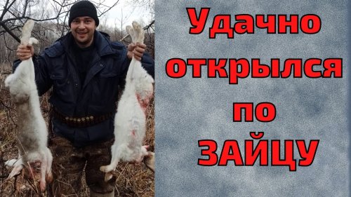 Охота на зайца по чернотропу. Как  добыть зайца одному.