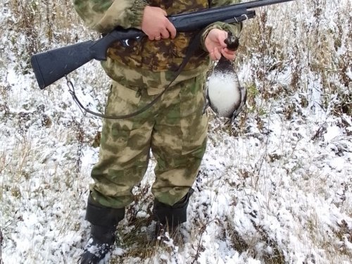 Снежное утро