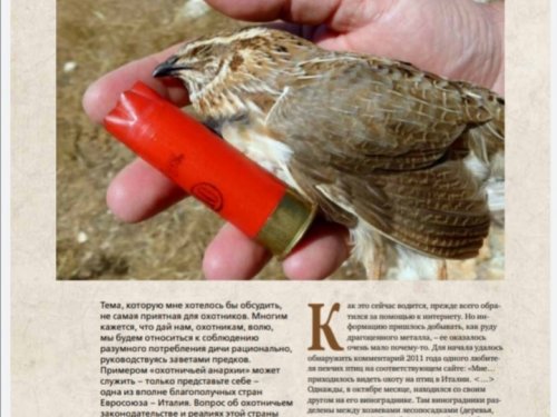 Корабль дураков.