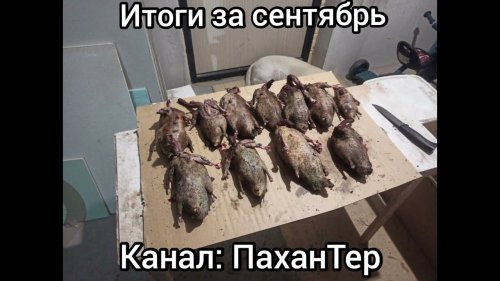 Результат охота и рыбалка. За сентябрь 2021. #shorts