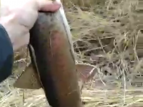 Рыбалка на реке Ханда