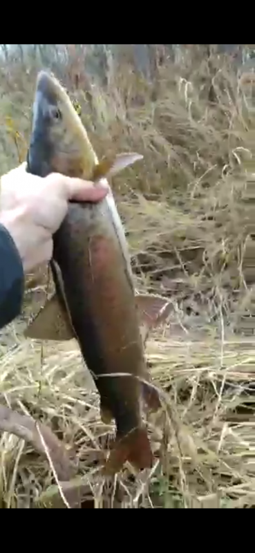 Рыбалка на реке Ханда