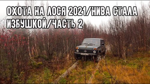 Охота на лося 2021/Пришлось ночевать в машине/Тетерева нас окружили/Часть 2
