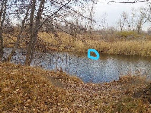 Еще не стылая вода...