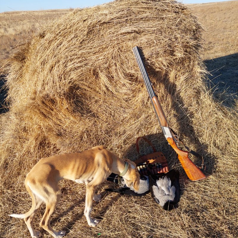 Наши трофеи.