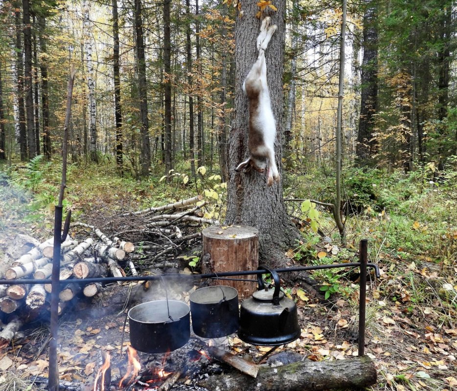 Сезон открыт